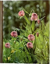 Image of The Time-Life Encyclopedia of Gardening: Wildflower Gardening
