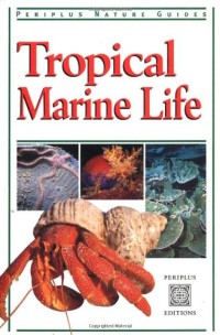 Image of Tropical Marine Life of Indonesia