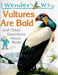 Image of Vultures Are Bald